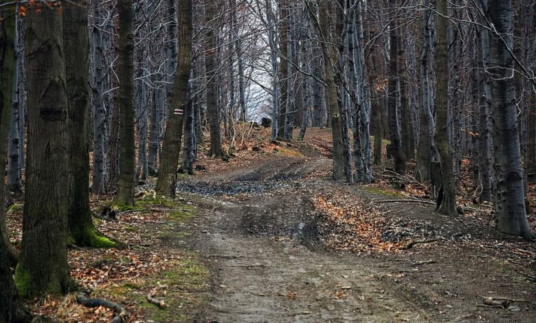 Piesze szlaki Gór Śląskich