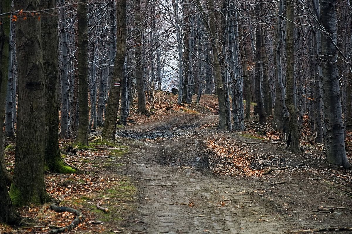 Piesze szlaki Gór Śląskich