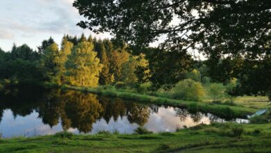 Czar śląskich parków krajobrazowych