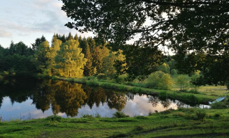 Czar śląskich parków krajobrazowych