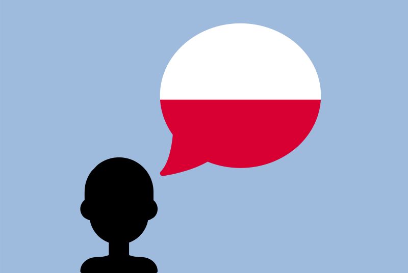 Dialekty Śląskie: Bogactwo Językowe Regionu